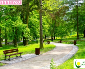 Trồng cây xanh cảnh quan cho công viên
